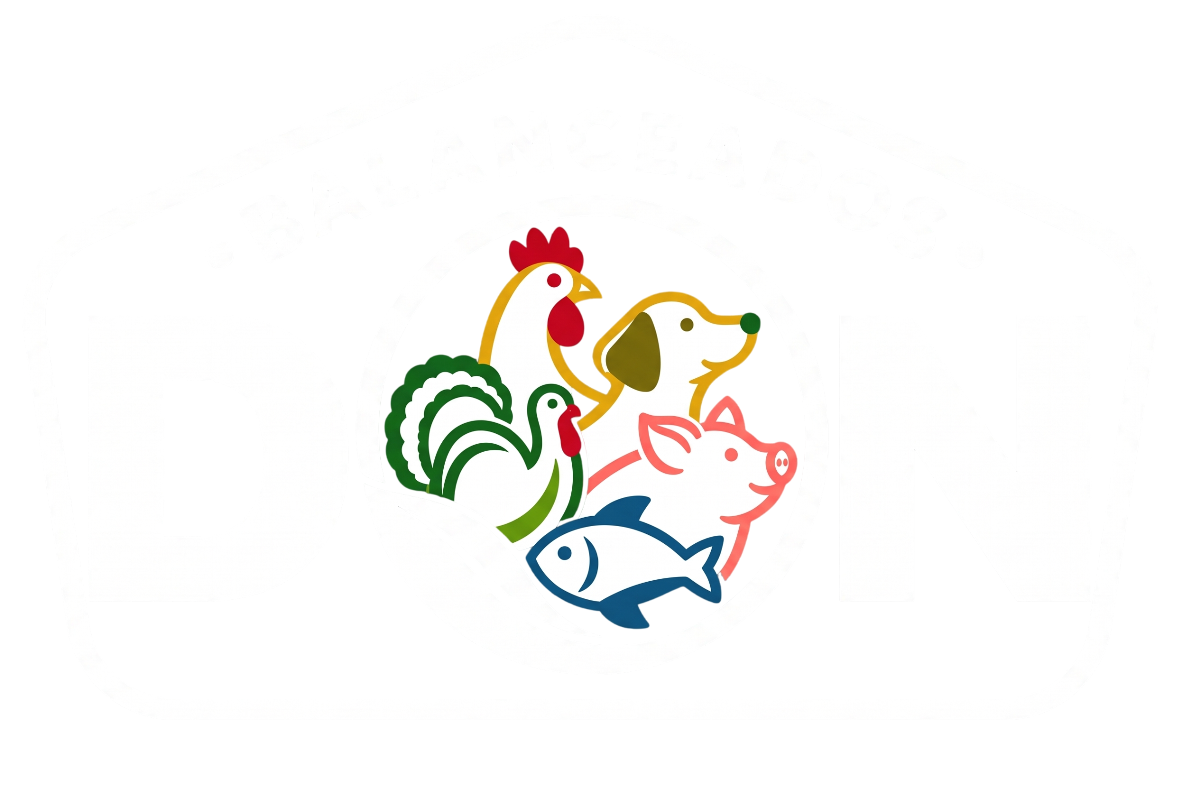 Balanceados Don
